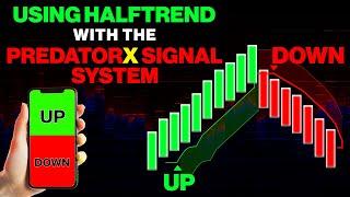 Automating HalfTrend Indicator with the Predator X Signal System.