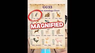 The rat signs magnified CHINESE ASTROLOGY #zodiacpost #astrology #numerology #gg33