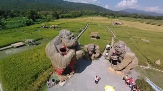 清邁巨型稻草猩猩 Giant straw gorilla @ Chiang Mai