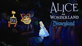 Alice in Wonderland On Ride Low Light 4K POV Disneyland 2024 10 21