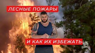 Лесные пожары и как их избежать  Расследование Приморский край  Проверено Fatalityvdk