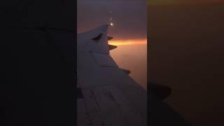 Flight in the Skies ️ #shorts #short #youtubeshorts #ytshorts