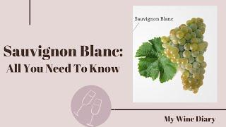 Sauvignon Blanc: Everything You Need to Know About This Iconic White Wine!