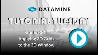 Studio RM: Applying 3D Grids to the 3D Window