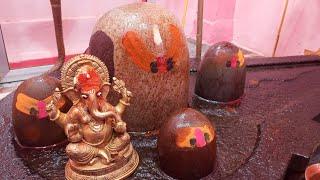 Get Powerful Positive Energy with  Shiva Rudra Mantra Puja by Lokesh Jagirdar #youtubelive #astro