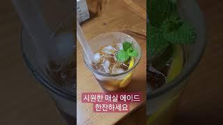 애플민트로 데코한 시원한 매실 에이드 한잔하세요. 삶은 옥수수랑 함께^^ #애플민트 #매실에이드 #삶은옥수수 #shorts #applemint