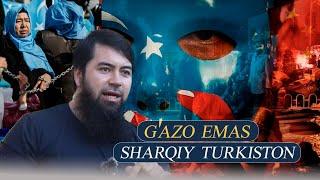 G'azo Emas Sharqiy Turkiston #uz #kg #kz #tj #shom #idlib #falastin #falastine #doğutürkistan