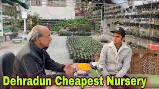 Dehradun Cheapest Nursery Visit / 26 साल पूरानी नर्सरी , जो कही नहीं मिलता वो यहाँ मिल सकता है