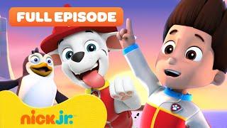 PAW Patrol Pups Save the Penguins!  FULL EPISODE | Nick Jr.