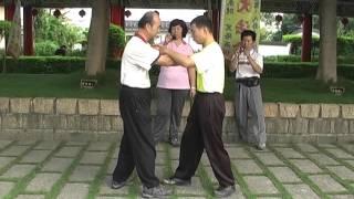 太極拳八勁應用法及自由推手 TaiChi 8 strength & applications & Push hands