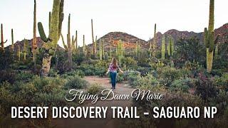 VLOG 194: Desert Discovery Trail in Saguaro National Park West (Tucson Mountain District)