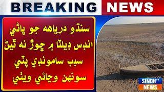 Sindhu darya jo pani indsu delta mein shor na thayan sabab samondi pati sonh wanyae wethi