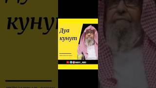 Дуа кунут. Шейх Салих аль-Фаузан #дуа #витр #таравих #тахаджуд #намаз #фаузан #ураза #шейхфаузан