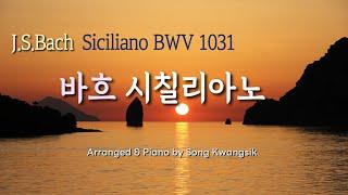  J.S.Bach / Siciliano BWV 1031 / 바흐 시칠리아노 BWV 1031 / 1 hour