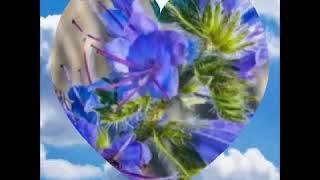 Натали - считалочка