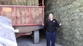 FORAGE FOCUS with Christine Gelley  - Hay Feeding Priorities