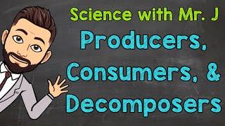 Producers, Consumers, and Decomposers | Ecosystems