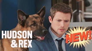 Hudson & Rex Season  Hudson & Rex full episodes 2024 New Today  Hudson & Rex Full Episode #M18