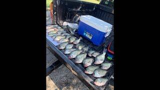 What a summer is has been! Let’s talk about the crappie bite right now!!