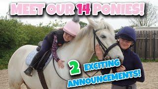 MEET OUR 14 PONIES - Plus BIG News!