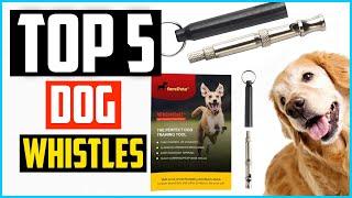 Top 5 Best Dog Whistles Review in 2024