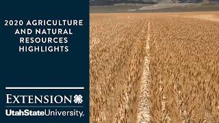 Utah State University Extension 2020 Agriculture and Natural Resources Highlights