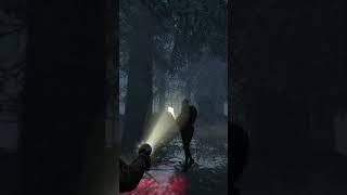 Get blinded dammit | dead by daylight