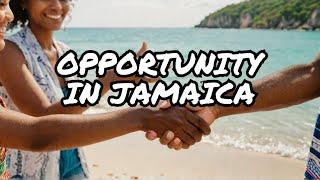 Embracing Opportunity in Jamaica: Stories of Growth, Resilience, and Partnership | @MyStartupTV