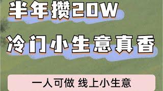 2023灰产网赚创业赚钱项目 赚钱最快的方法 零成本零风险日赚千元，快速赚钱的创业项目