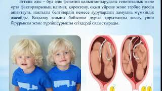 КГУ Карагандинский транспортно-технологический колледж.Видео урок преподавателя Сейткалиева Н.А