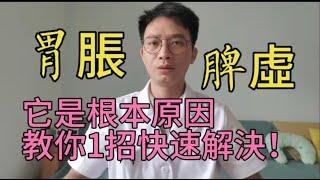 脾胃不好、陽氣不足怎麼辦？中醫教你如何對症下藥調脾胃，趕緊收藏起來吧！【英德中医何医生】