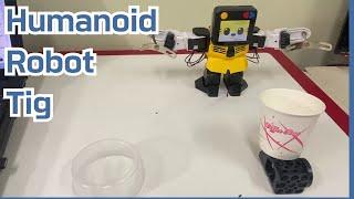 Humanoid robot - TIG