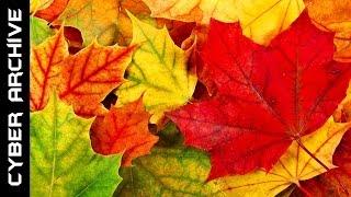 15 Interesting Facts About Autumn