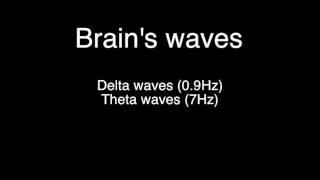 Human brain's waves