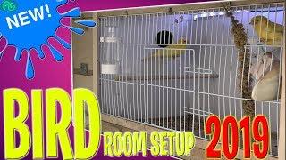 NEW PET BIRD ROOM SETUP ! BIRD CARE | 2019 !