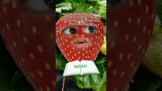 POV you're #autistic and take everything literally #humor #autism #reading