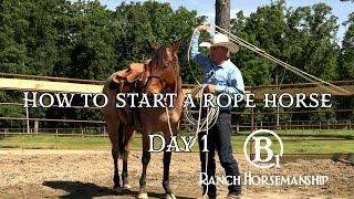 How To Start a Rope Horse Day 1 Preview