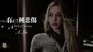 A-Lin 《有一種悲傷 A Kind Of Sorrow》 Music Lyrics