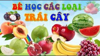 BÉ HỌC CÁC LOẠI QUẢ | ĐỌC TÊN CÁC LOẠI QUẢ, QUẢ TÁO, QUẢ CHUỐI, QUẢ NHO, QUẢ ỔI, THANH LONG | SỨA TV