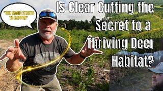 Is Clear Cutting the Secret to Thriving Deer Habitat??? #hunting #landmanagement #clearcut