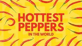 20 HOTTEST PEPPERS in the World