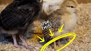 Use this BIZARRE chick behavior to INSTANTLY bond!
