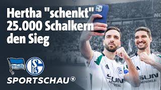 Hertha BSC - FC Schalke 04 Highlights 2. Bundesliga, 25. Spieltag | Sportschau Fußball