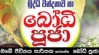 මහා බලසම්පන්න බෝධි පූජා   Bodhi Pooja