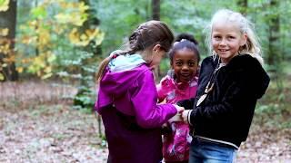 ForstBW - Neue Wege finden - Waldpädagogik in Baden-Württemberg