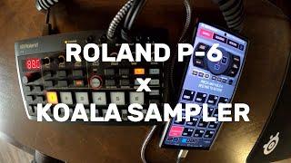 ROLAND P-6 x KOALA SAMPLER