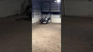 She did like 5 flying lead changes after this  || #feedshorts #equestrian #bestpony #ride4pooky