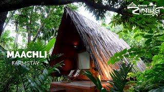 Maachli Eco-friendly Farmstay in Sindhudurga | माचली:एक जीवनशैली