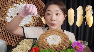  [4k] Savory wasp larva mukbang ASMR