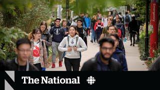 Universities, colleges say foreign student cuts could hurt Canada’s reputation